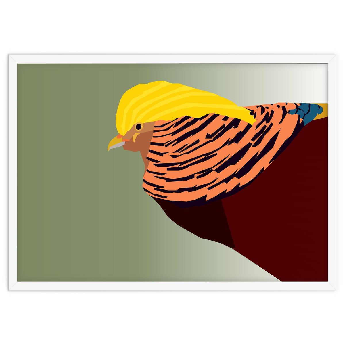 Golden Pheasant Bird Art