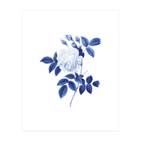 Blue Botanic II (Print Only)