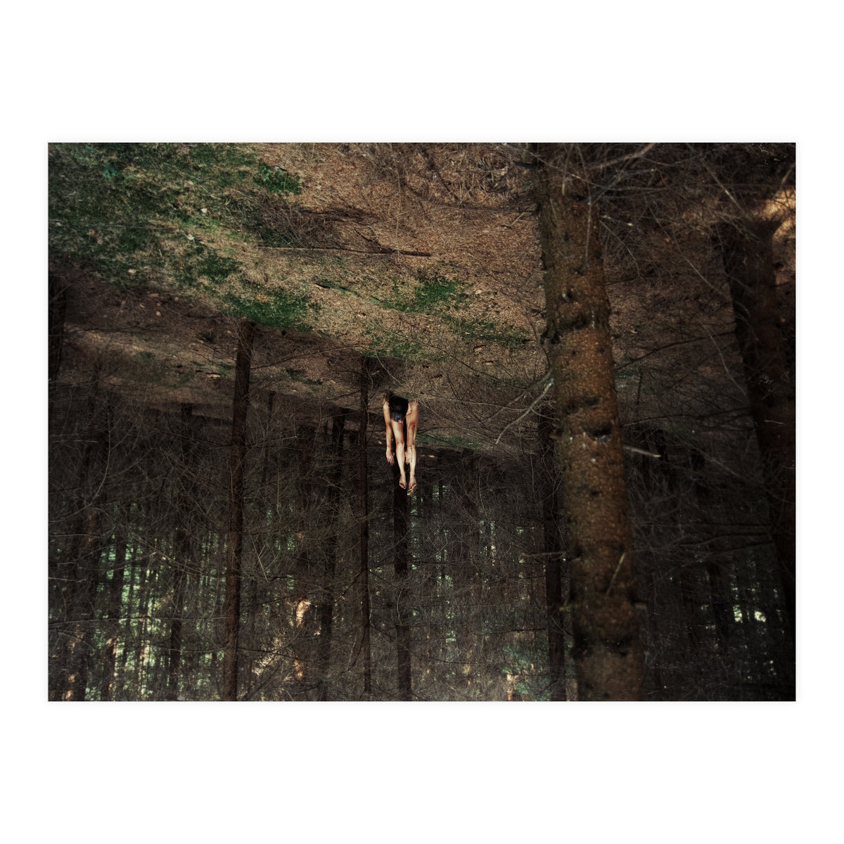 Gravity (Print Only)