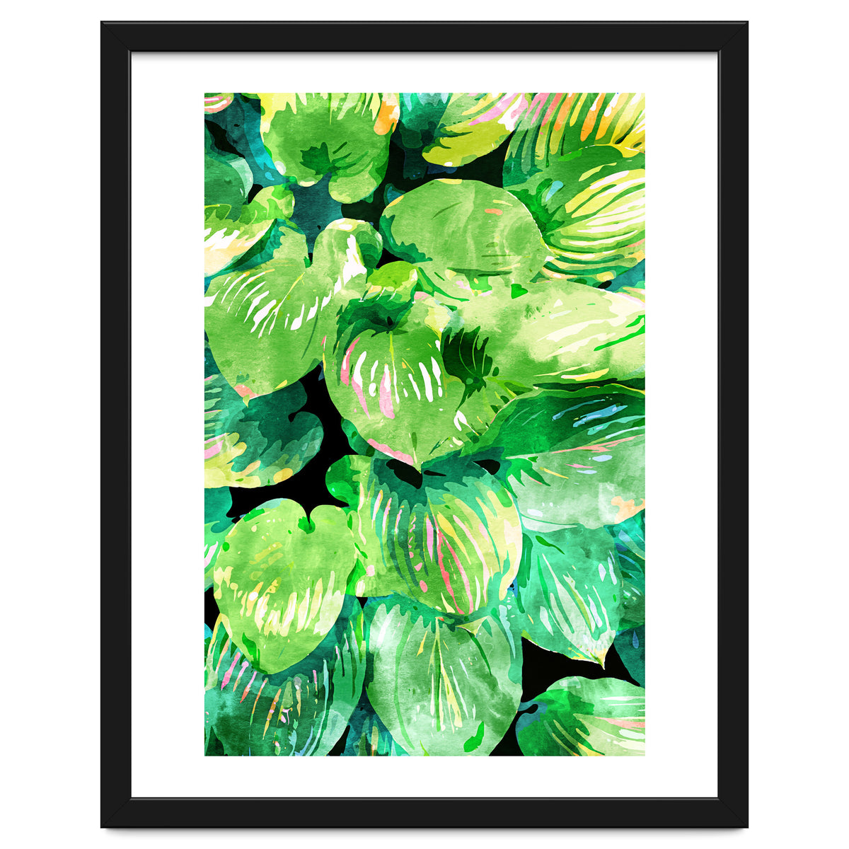 Colors Of The Jungle