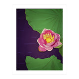 Water lily (Print Only) thumbnail