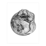 Moon Fox (Print Only) thumbnail