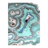 26 2 (Print Only) thumbnail