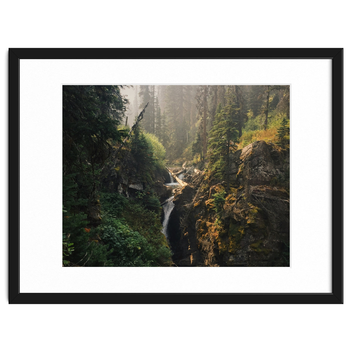 Glacier National Park I