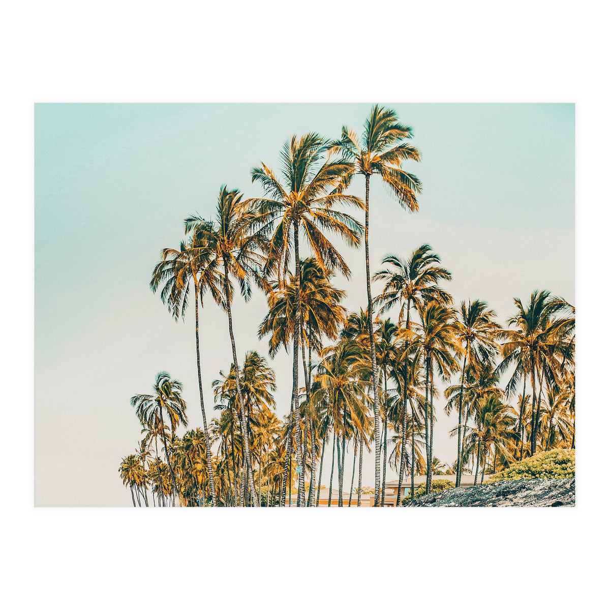 Island Life III (Print Only)