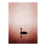 The Swan (Print Only) thumbnail