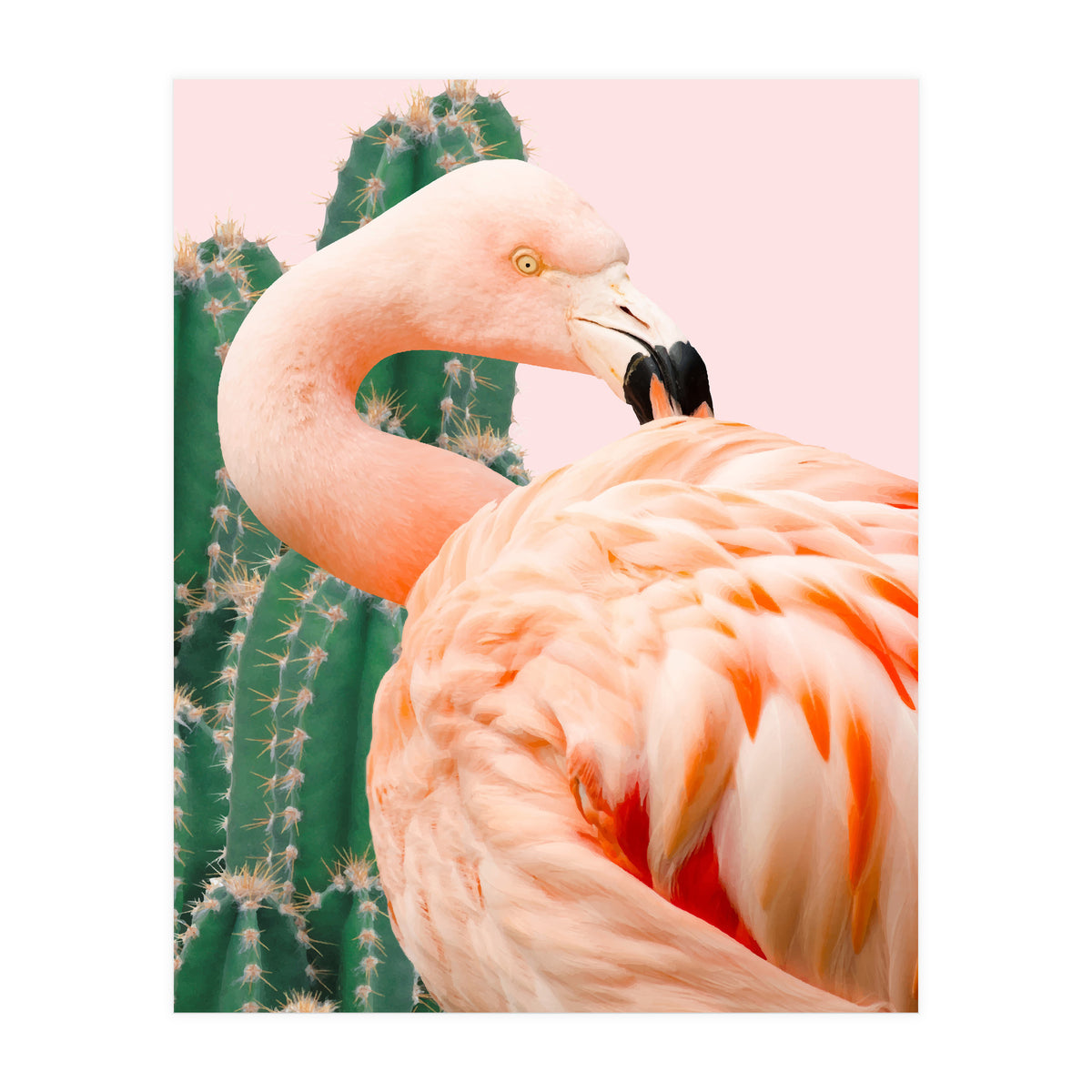 Flamingo & Cactus (Print Only)