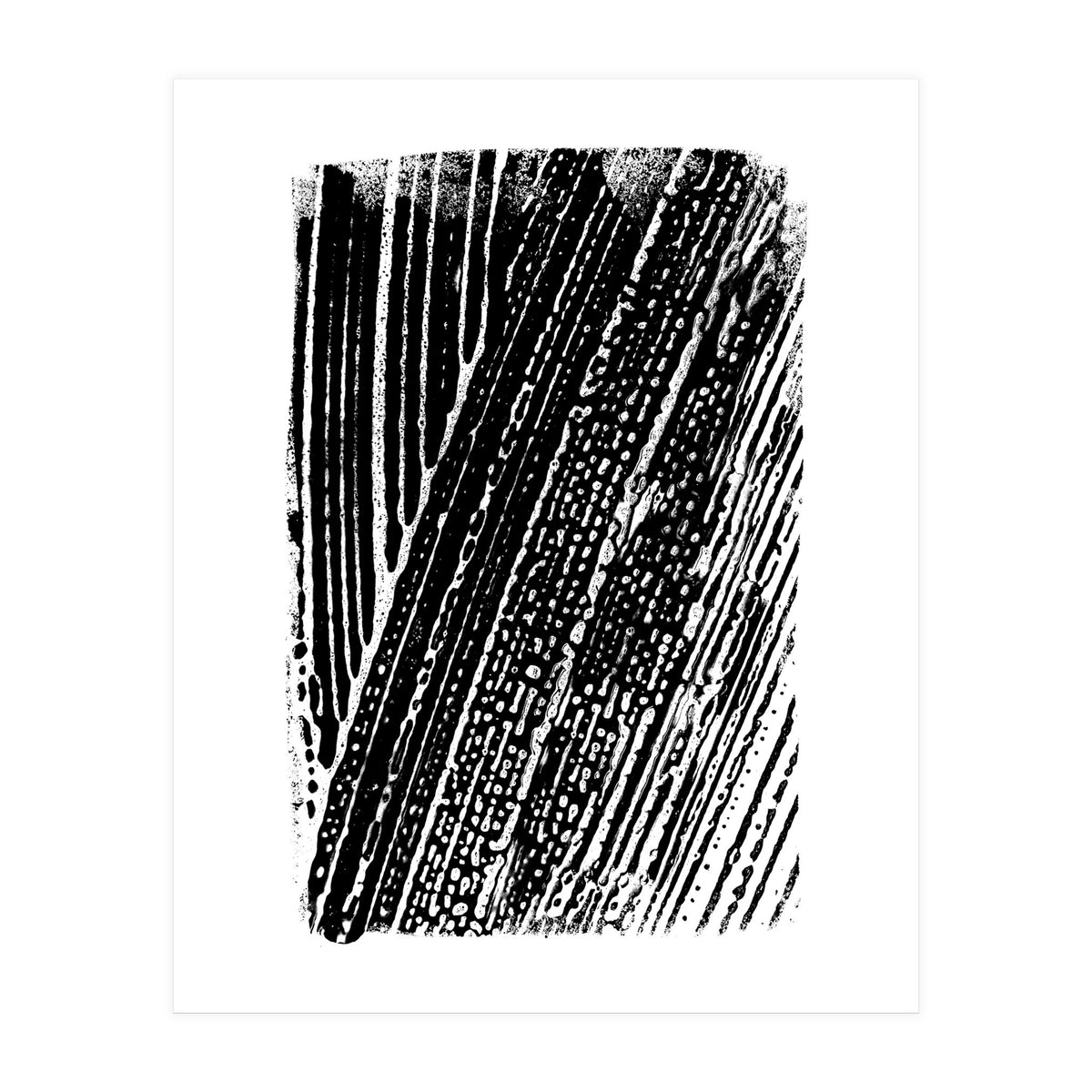 Dizzy 2 (Print Only)