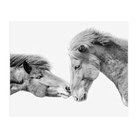 Horse Love in Iceland (Print Only)