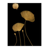 Moonshine Dancers Gold (Print Only)