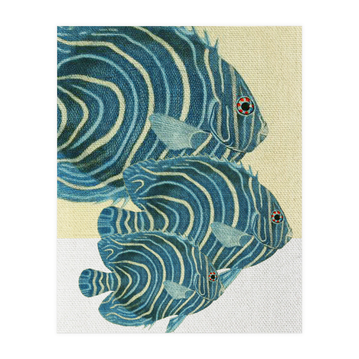 Fish Classic Designs 9 (Print Only)