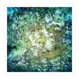 Observation (Print Only) thumbnail
