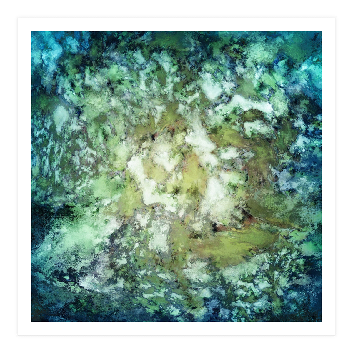 Observation (Print Only)