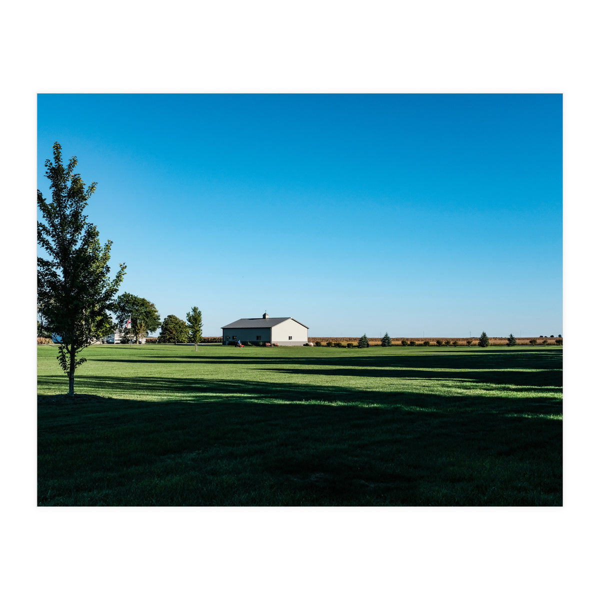 Summer evening, rural Illinois (Print Only)