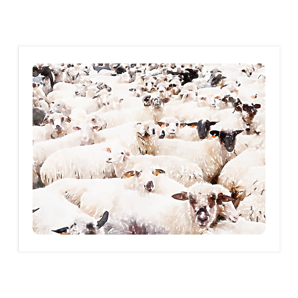 The Herd (Print Only)