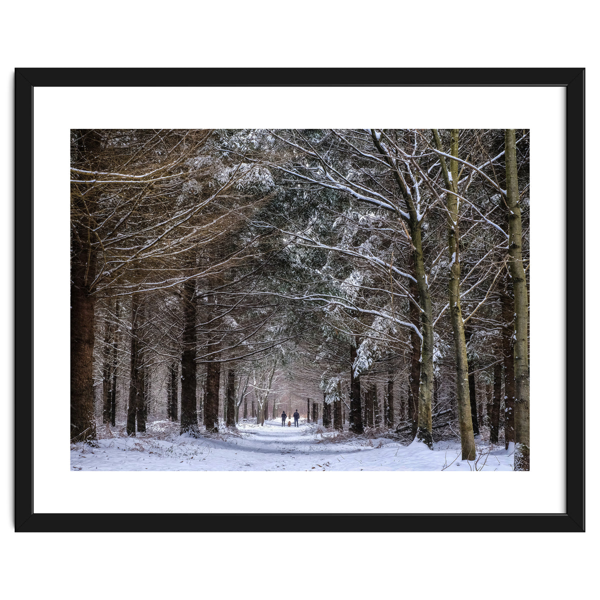 Dog Walkers in the Snow.  Heath Warren - Hampshire
