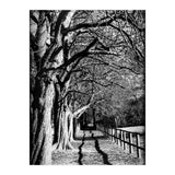 Light and shadows (Print Only) thumbnail