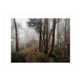 Mt. Davidson I (Print Only) thumbnail