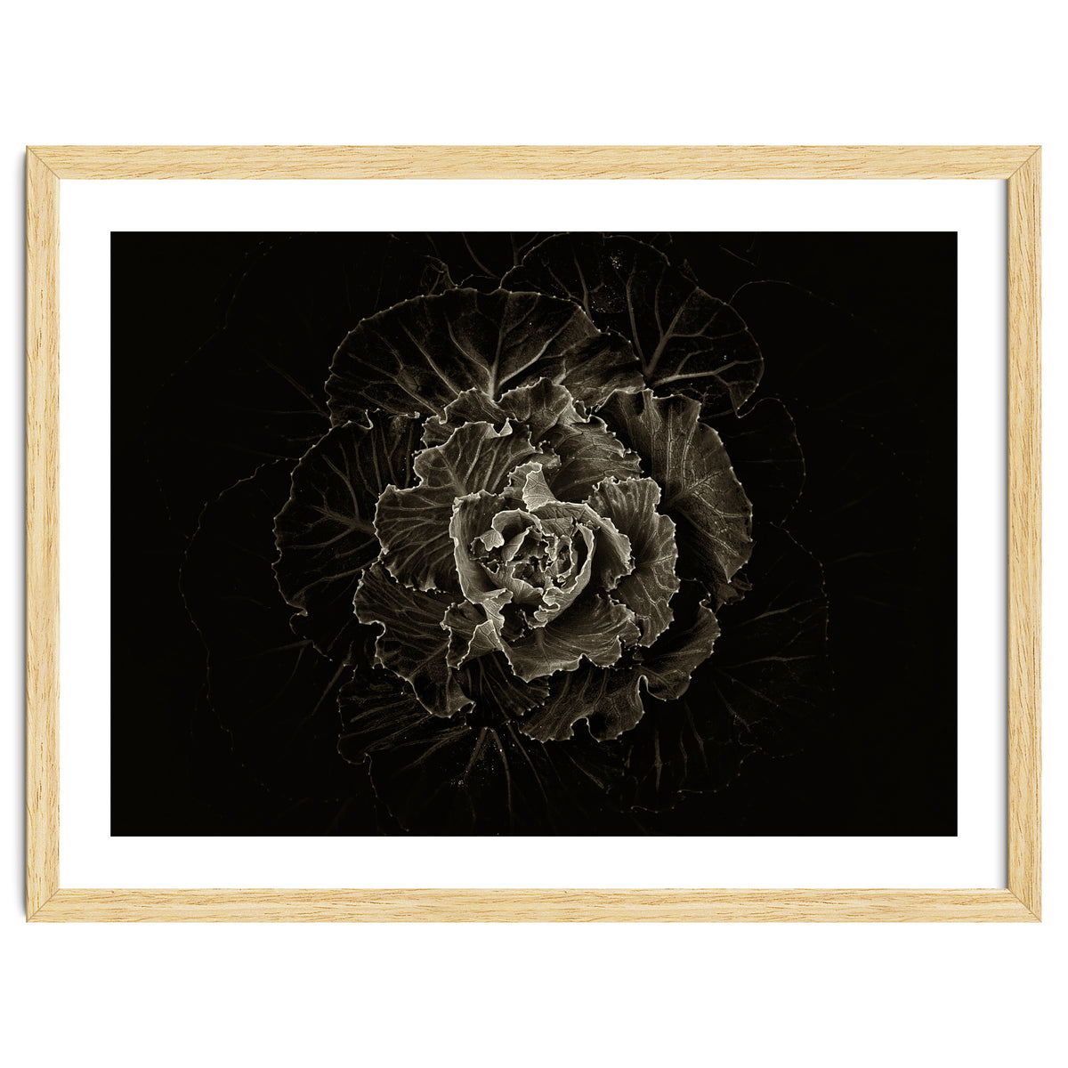 Backyard Flowers No 100 Sepia Version