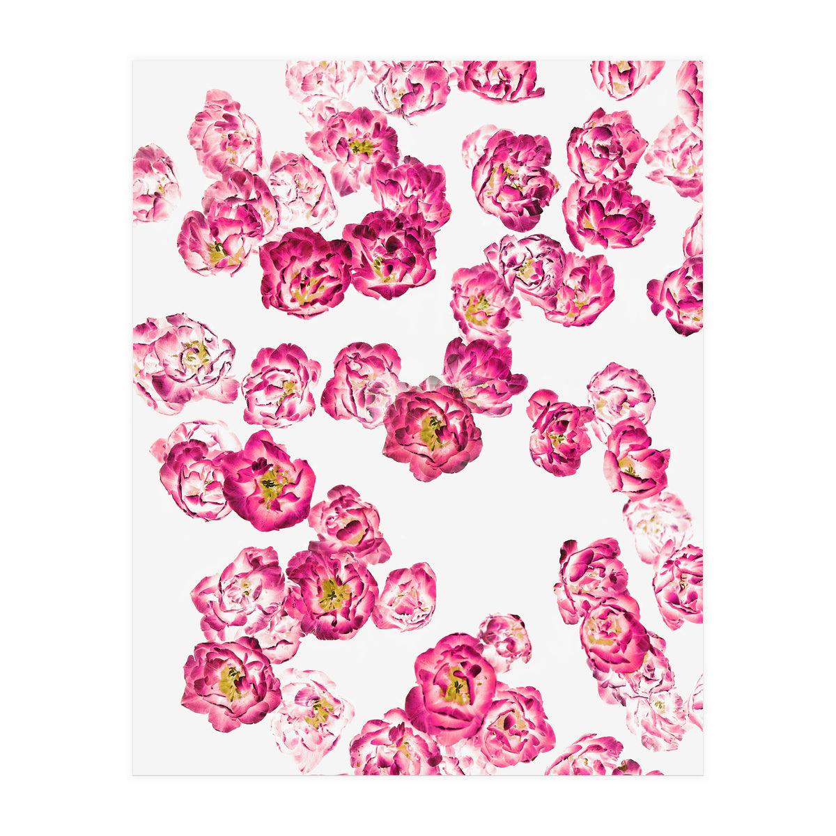 Pink Heaven (Print Only)