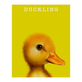 Duckling (Print Only) thumbnail
