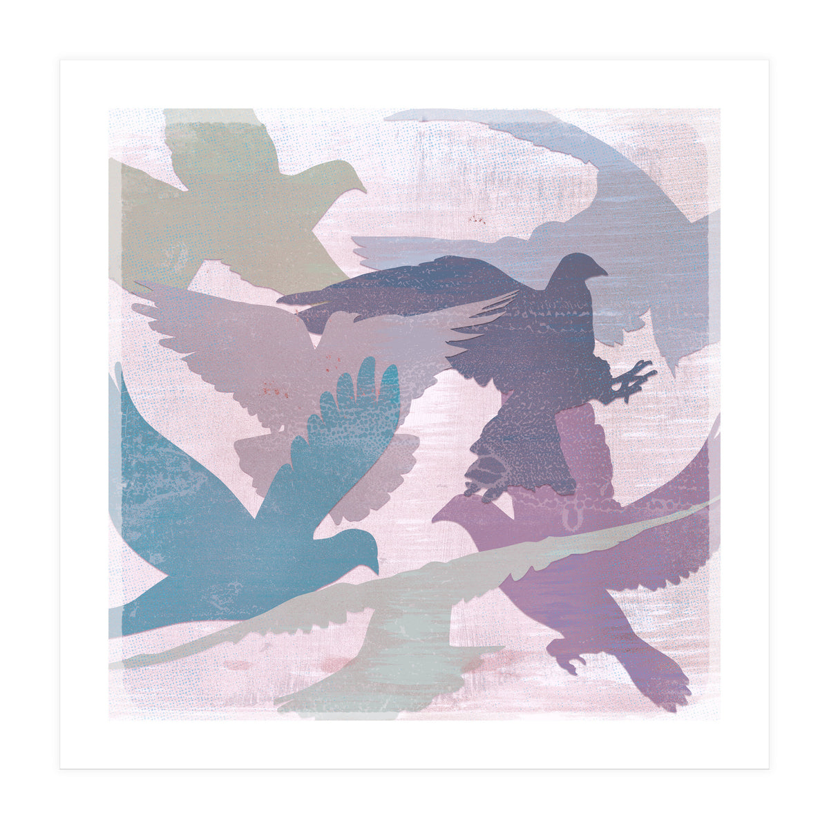 A bevy of doves (Print Only)