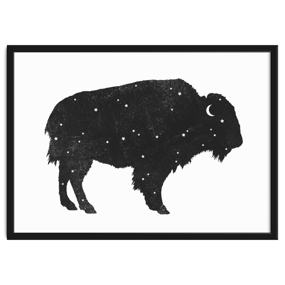 Mystic Buffalo