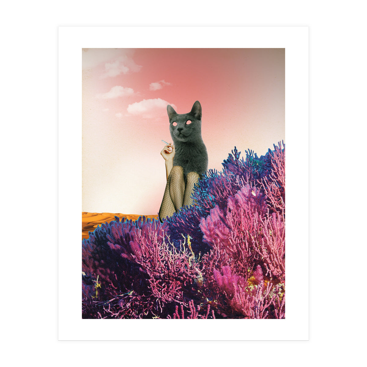 Atmosphere · The Funny Side (Print Only)