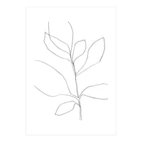 Seven Leaf Plant (Print Only)