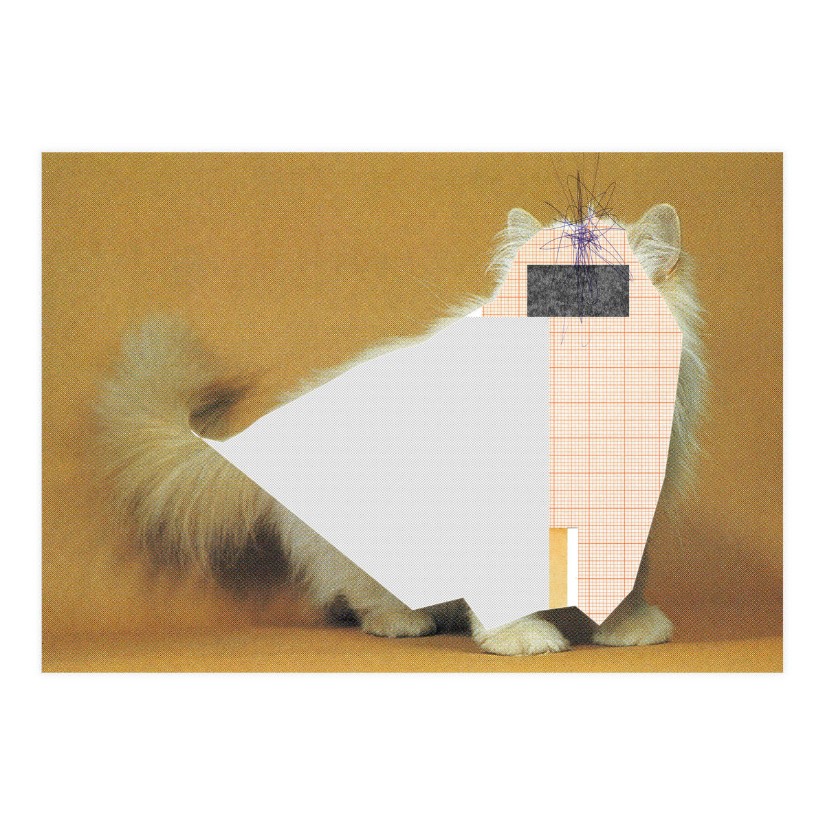 Content Of The Cat 1 (Print Only)