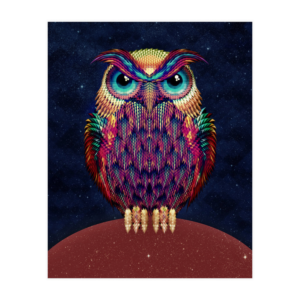 Owl 2 (Print Only)
