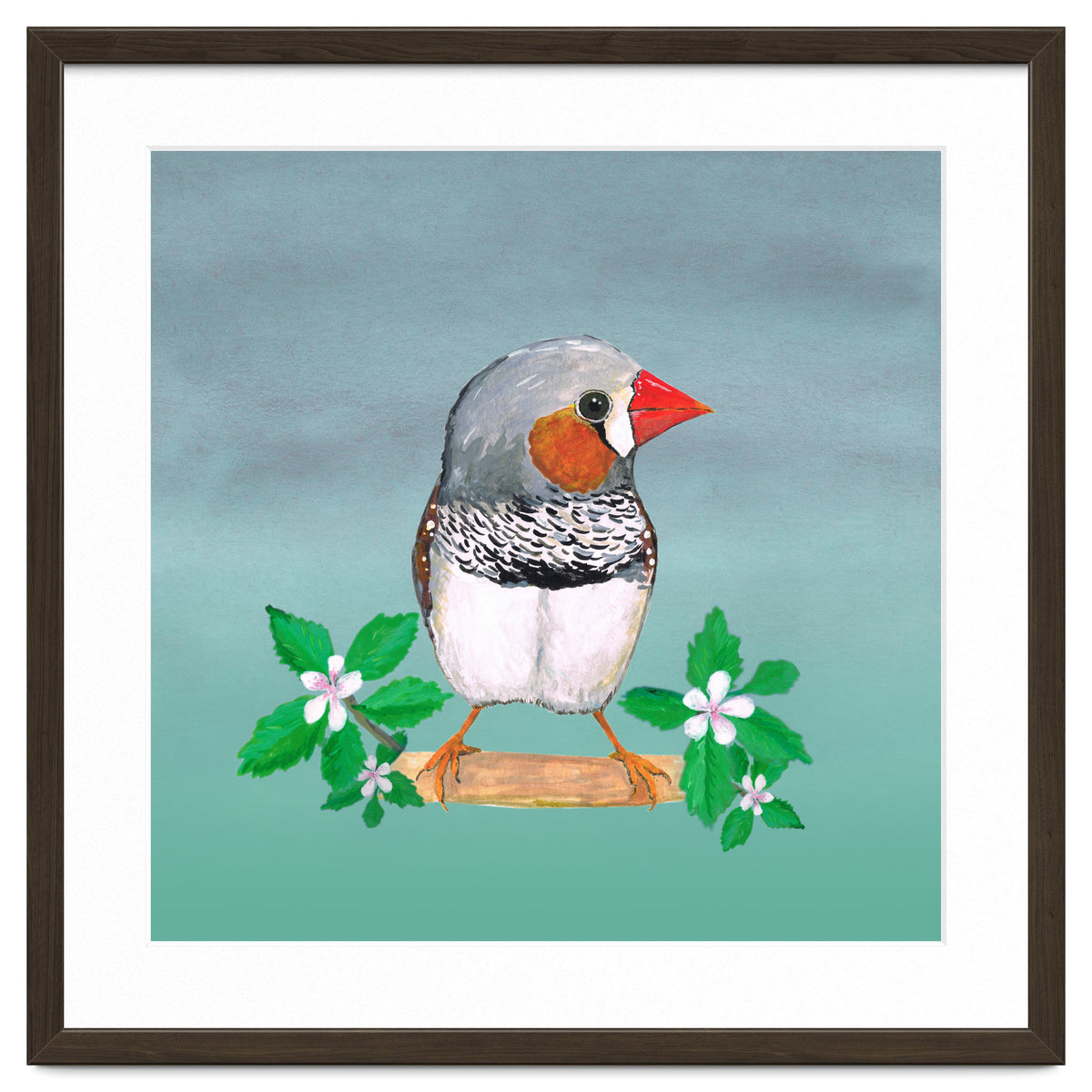 Zebra finch