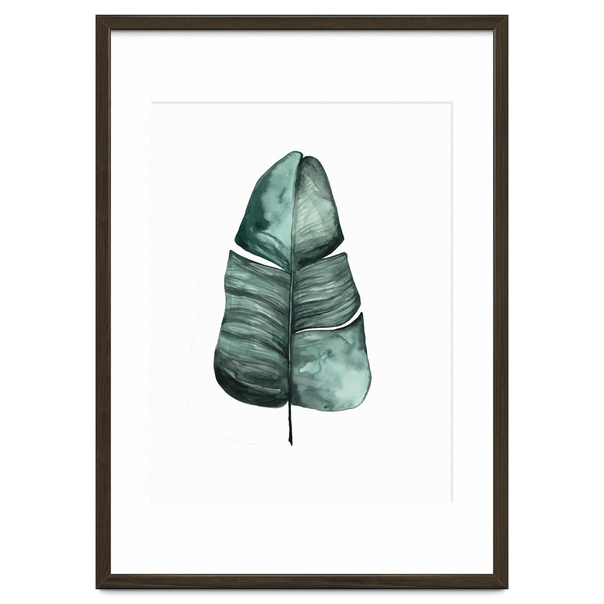 Botanical Illustration Banana Leaf