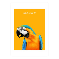 Macaw (Print Only)