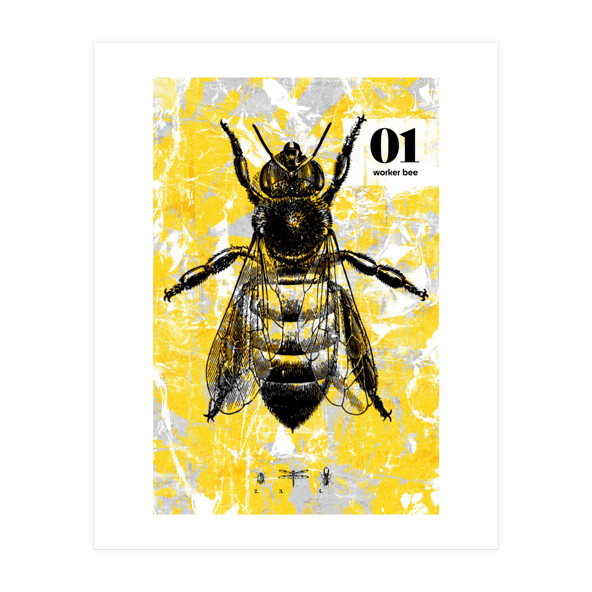 Bugs 1  (Print Only)