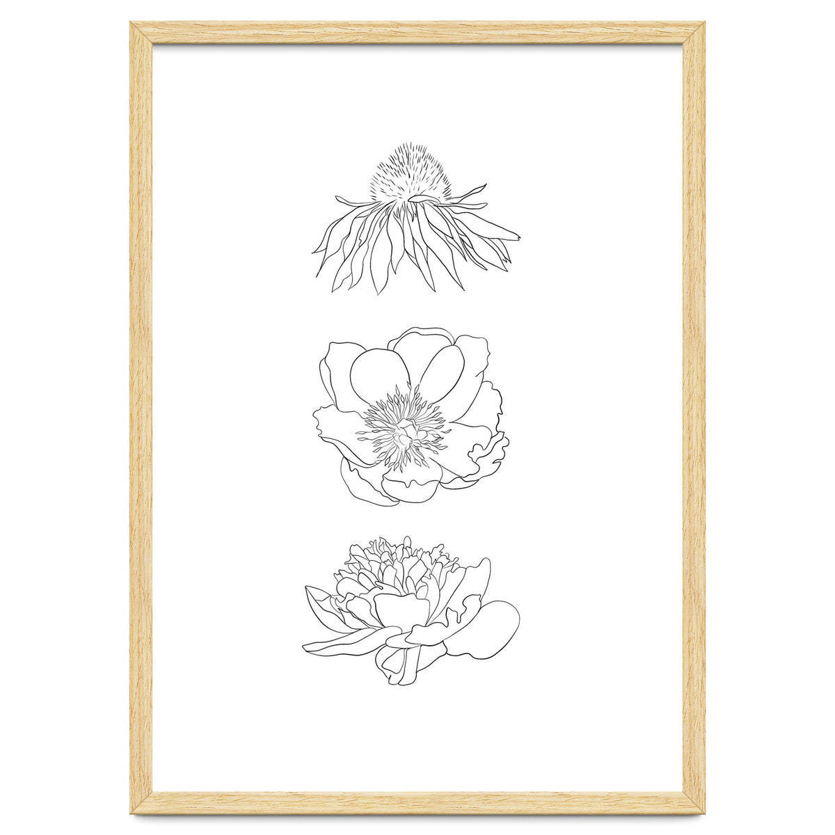 Hand Drawn Flowers
