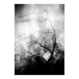 love wish (Print Only) thumbnail