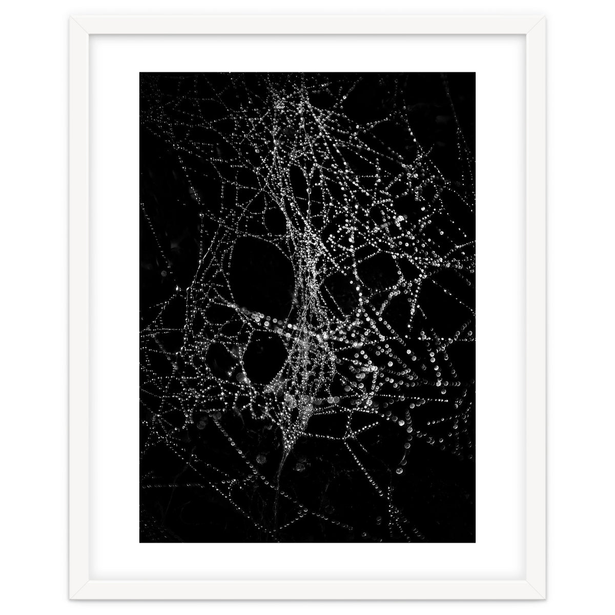 Spiderweb No 4