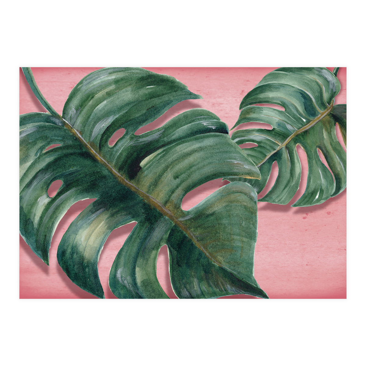 Monstera Leaf (Print Only)