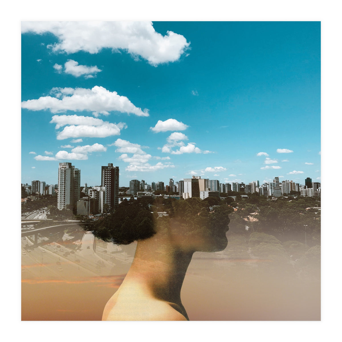 Dream Division 15 (Print Only)