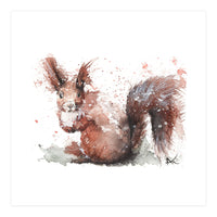 Squirrel - Wildlife Collection (Print Only)