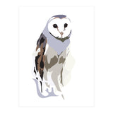 Owl (Print Only) thumbnail