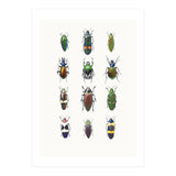 Cc Insects 03 (Print Only) thumbnail