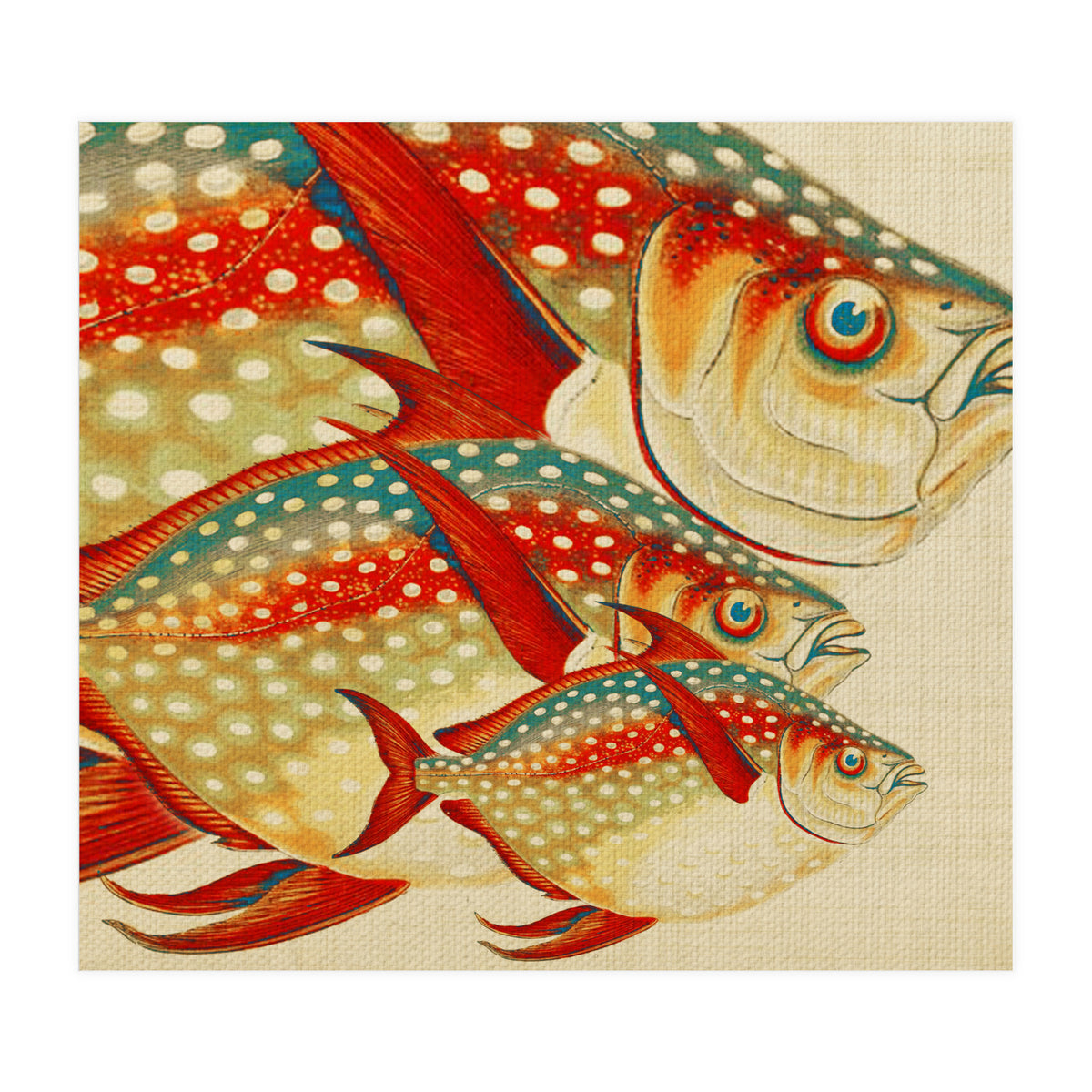 Fish Classic Designs 1 (Print Only)
