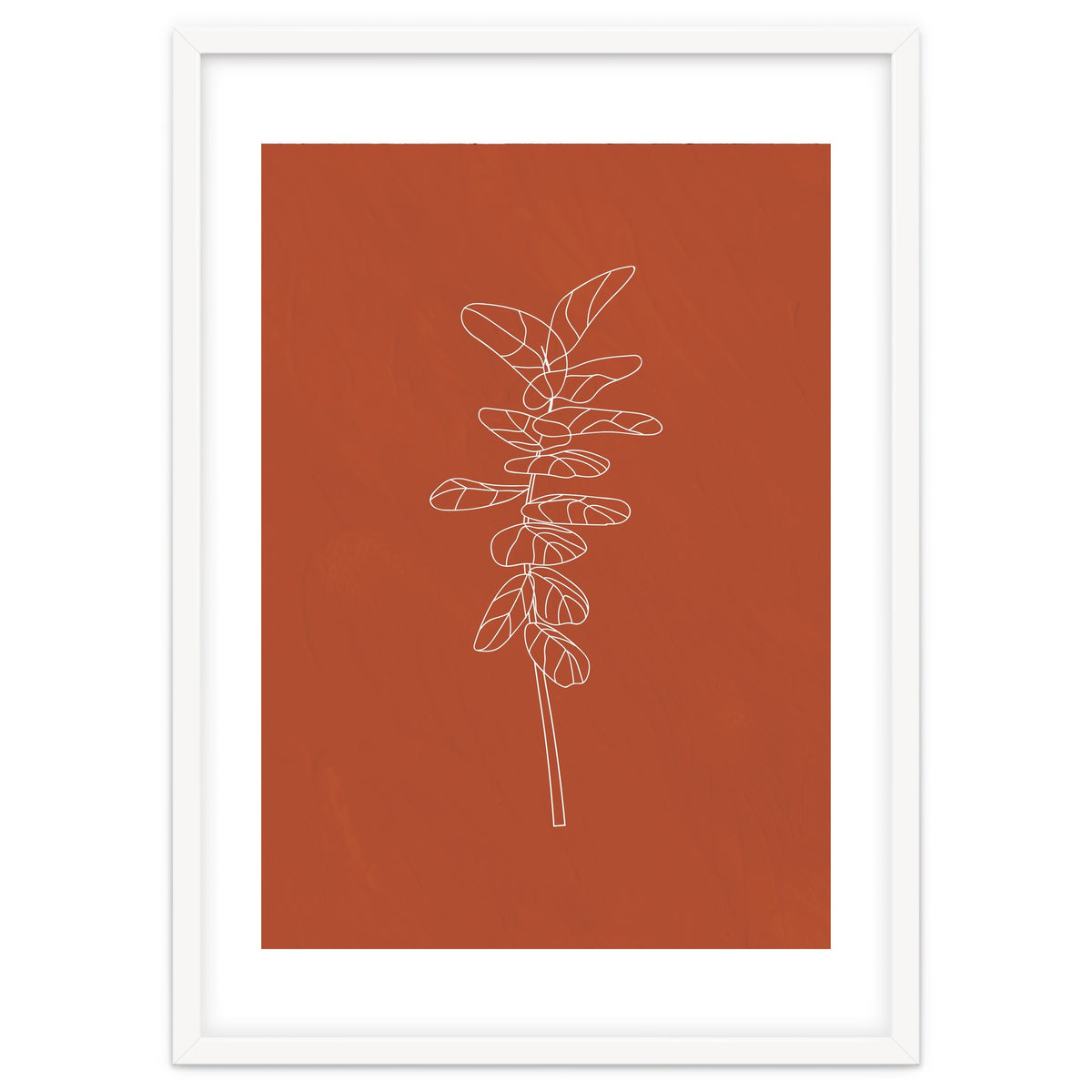 Line Art Botanical Terracotta