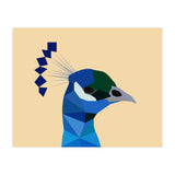 Peacock Low Poly Art (Print Only) thumbnail