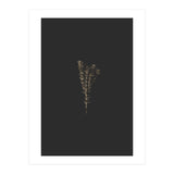 Moody Golden Botanicals (Print Only) thumbnail