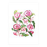 Flori (Print Only) thumbnail