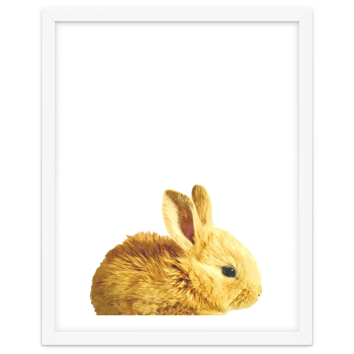 Bunny Portrait