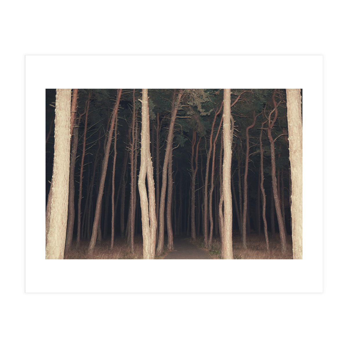 The Slender Man (Print Only)